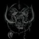 Avatar von Furor Teutonicus
